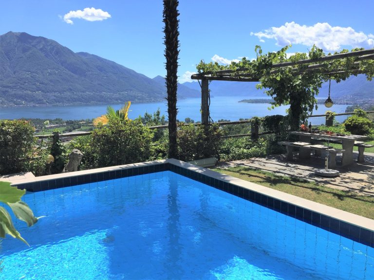 Pool mit Seeblick zu Ferienwohnung im Tessin