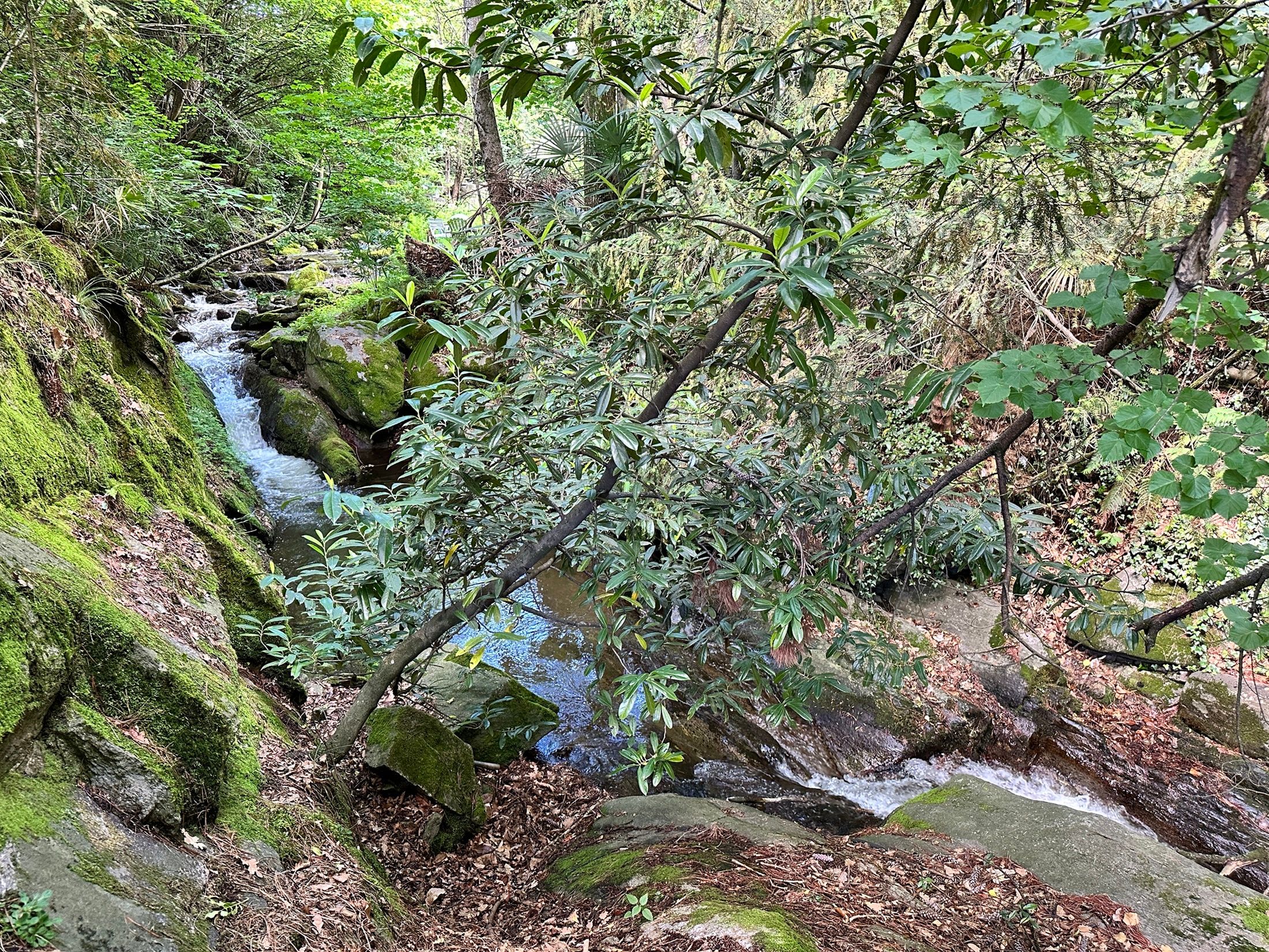 Natur