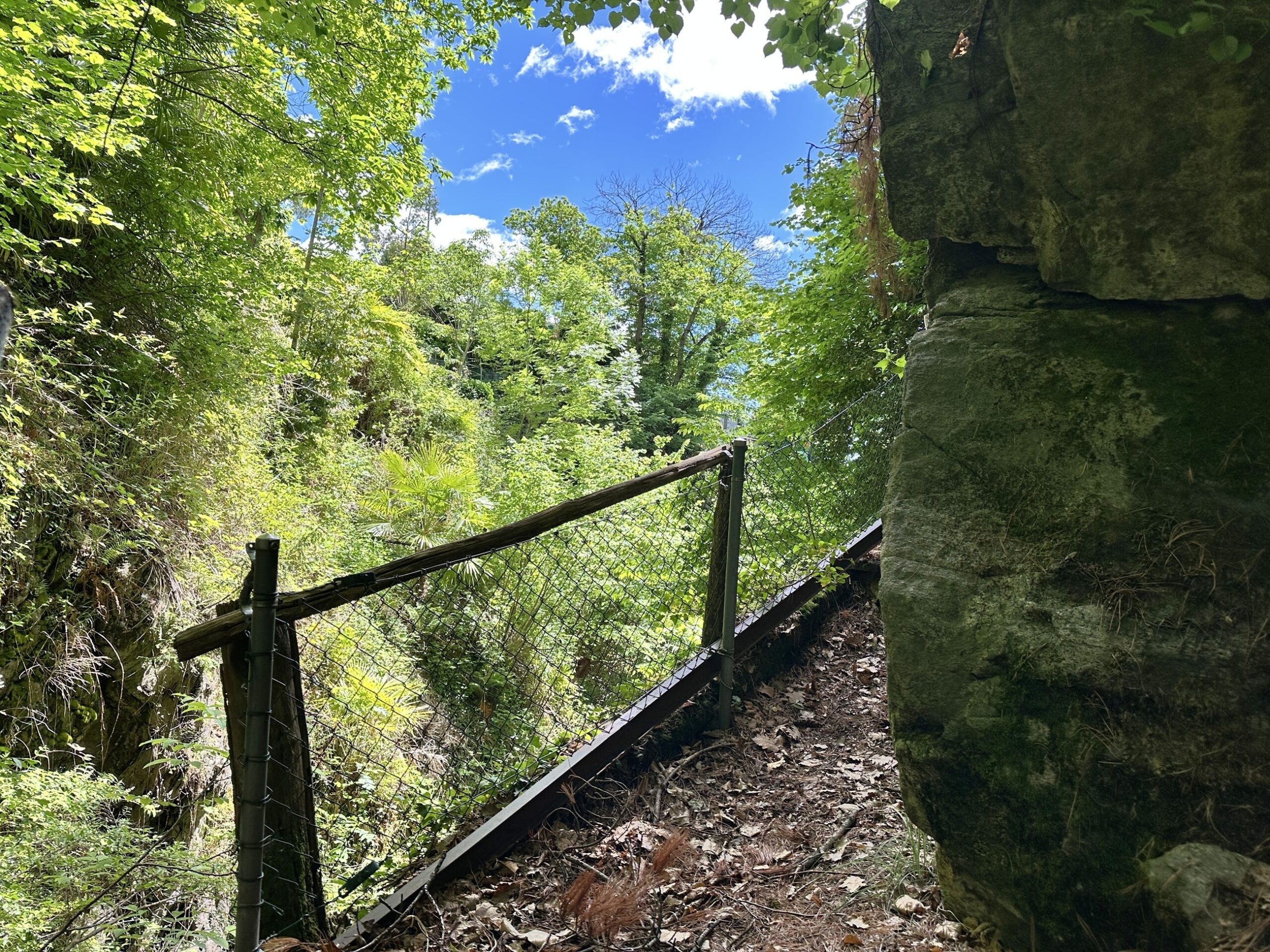 Natur
