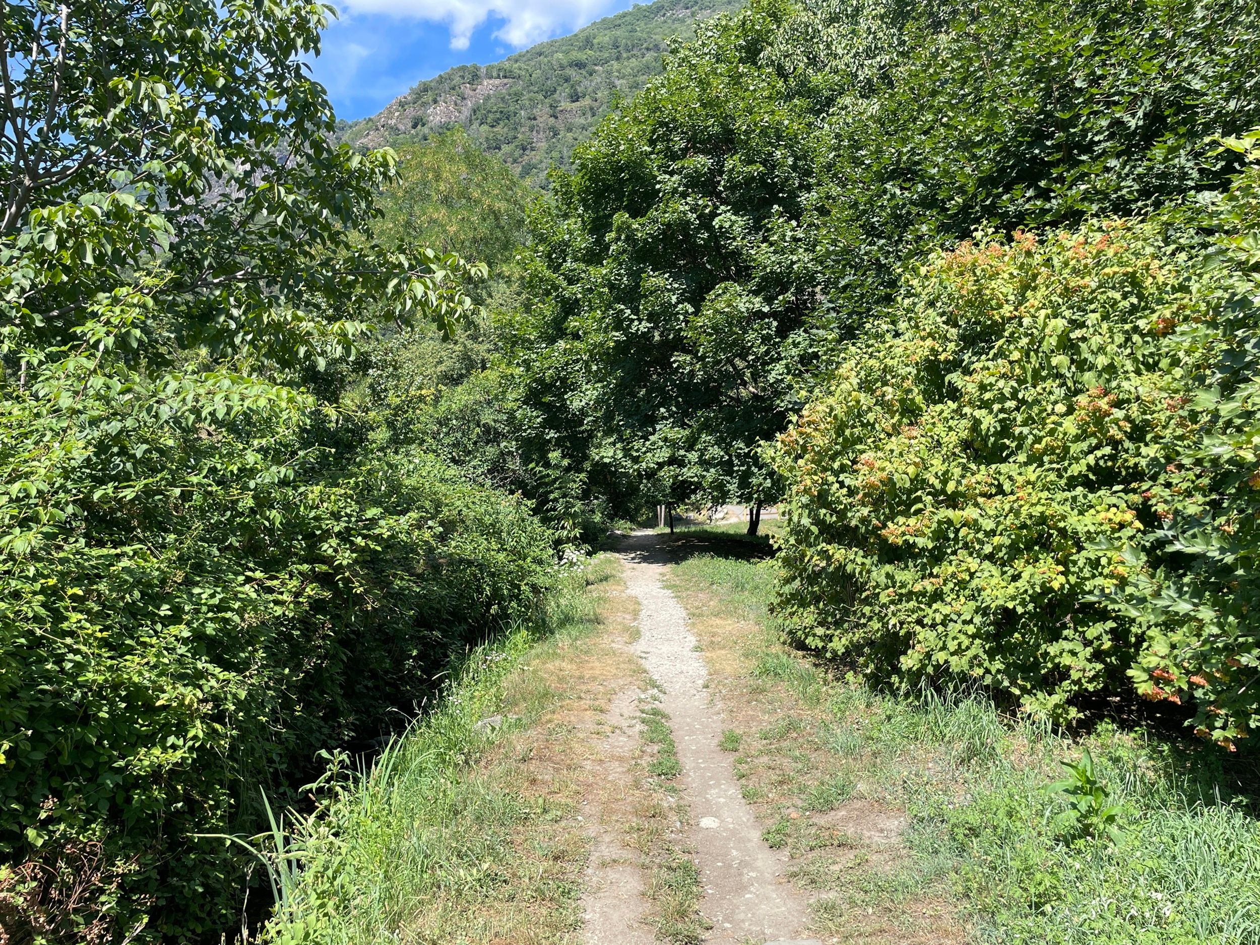 Spazierweg im Tessin